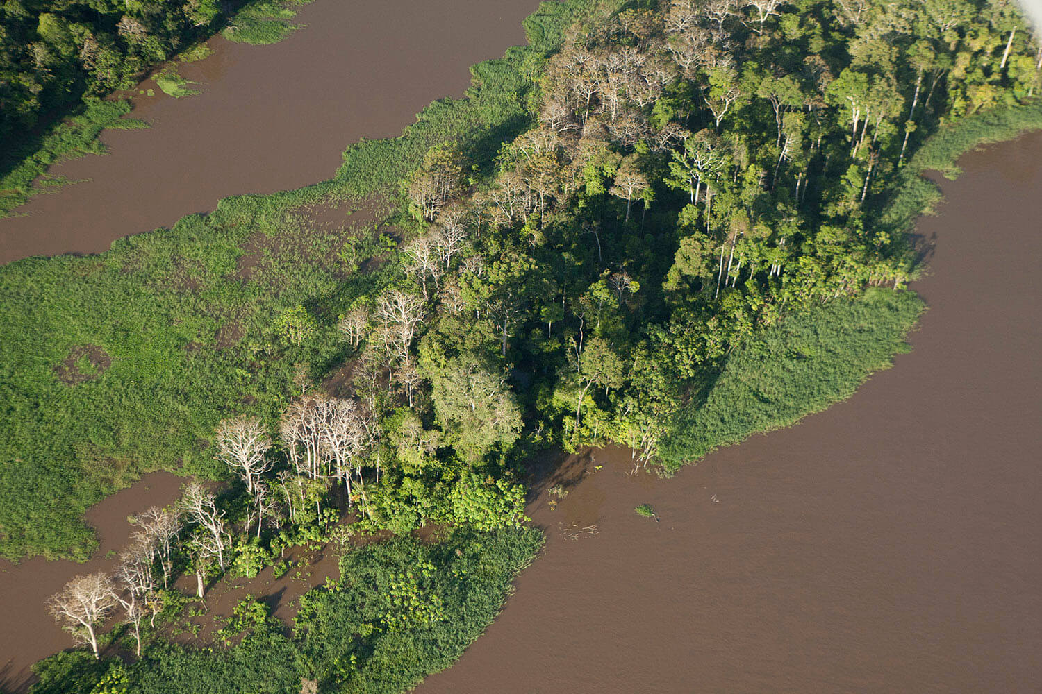 18AMAZONAS slider 19_MG_4563.jpg